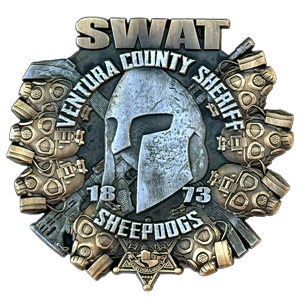 Custom-Shaped Coins